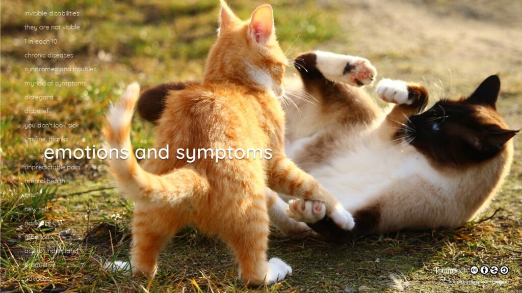 2 cats playing together lying on a grass field, with text Emotions and symptoms
