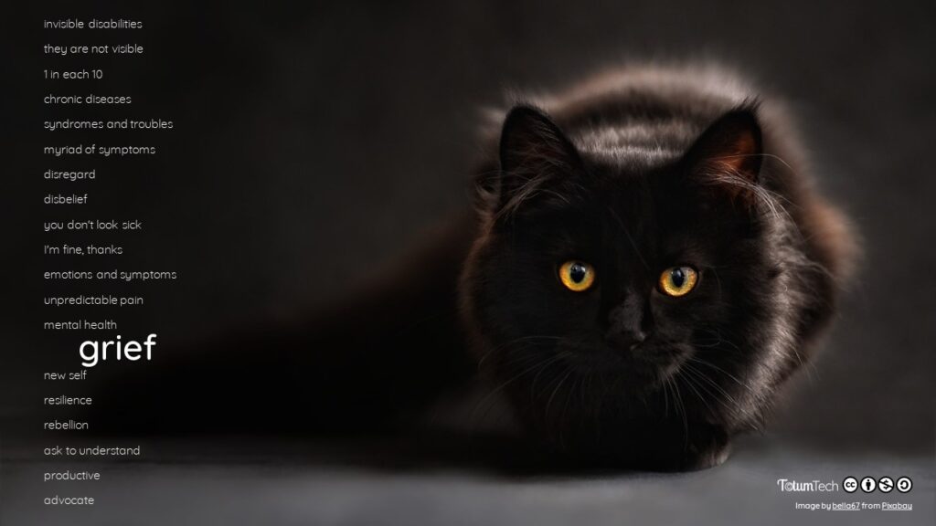 Close up of a cat sitting in a dark room and looking to the camera, with text Grief 