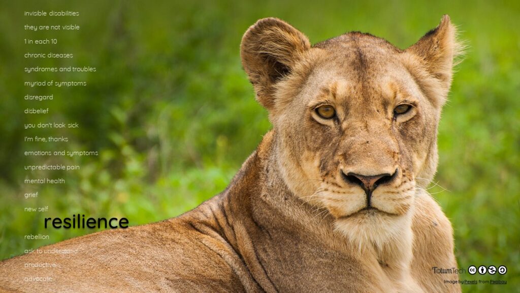 Lioness sitting in a field, with text Resilience