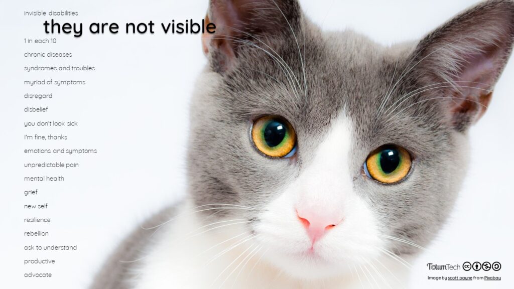 Close up of a cat staring to the camera, with text They are not visible