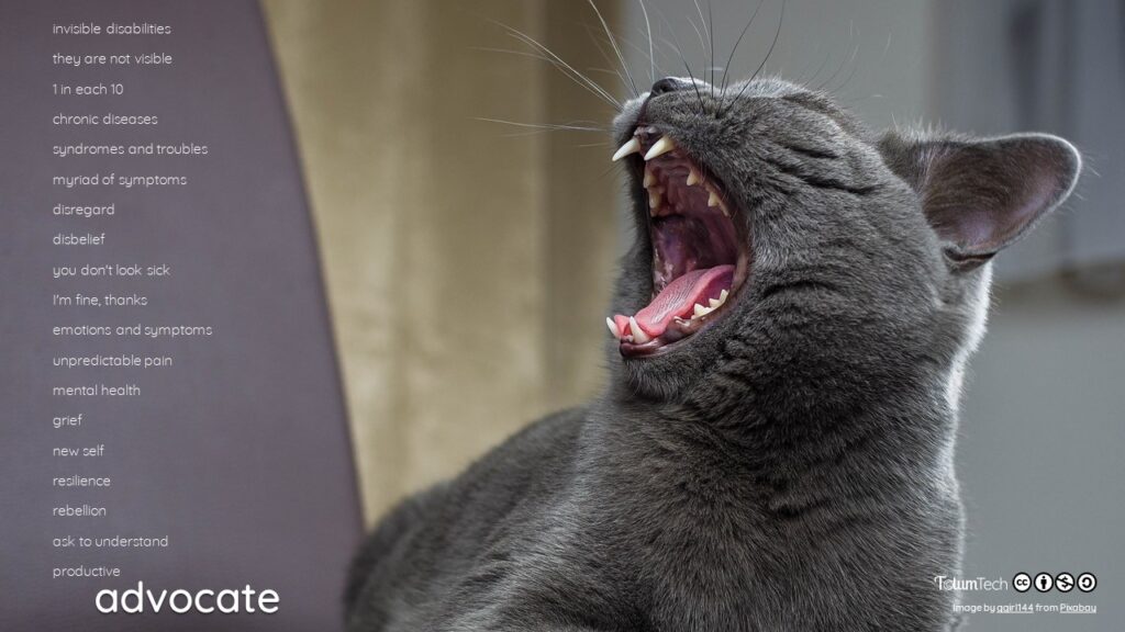 Close up of a cat yawning, with text Advocate