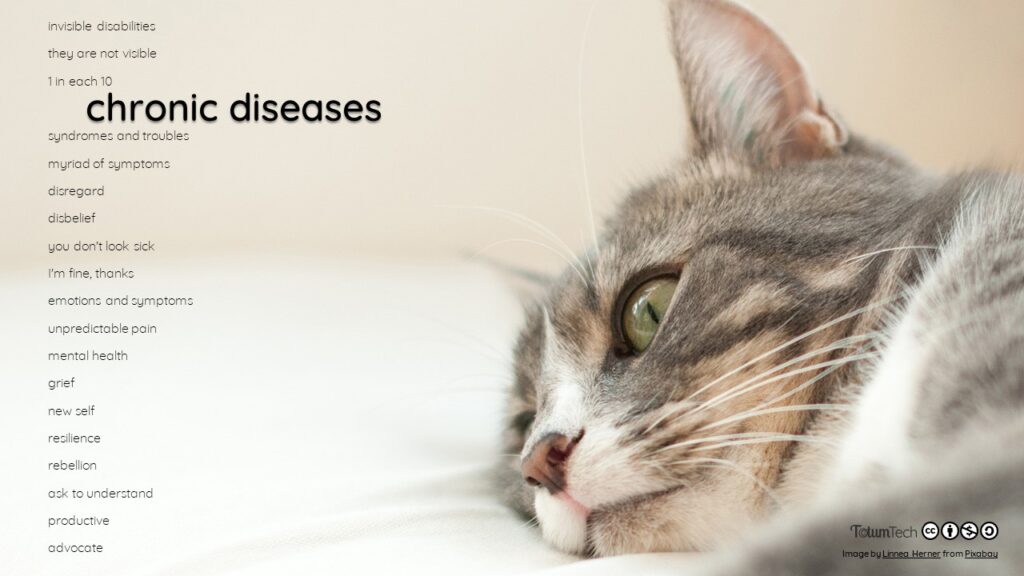 Close up of a cat lying on a bed, with text Chronic diseases