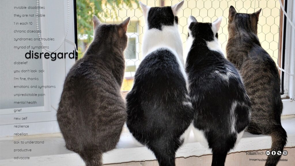 4 cats sitting side by side and backwards, looking outside a window, with text Disregard