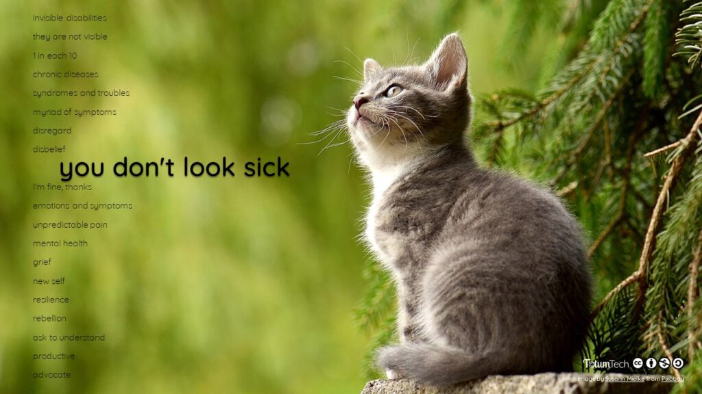 Kitten sitting in the grass by a tree, with text You don't look sick