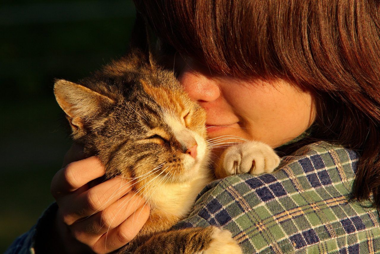 Picture of a young person holding and cherishing a cat, Photo d'une jeune personne tenant et chérissant un chat[:]